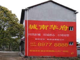 郴州百分之90的人都不了解的农村墙体广告