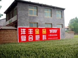郴州如何让墙体广告展现最大化效果