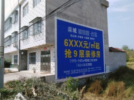 郴州墙体广告质量分析