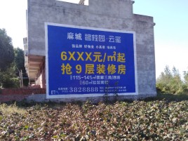 郴州品牌公司青睐的墙体广告